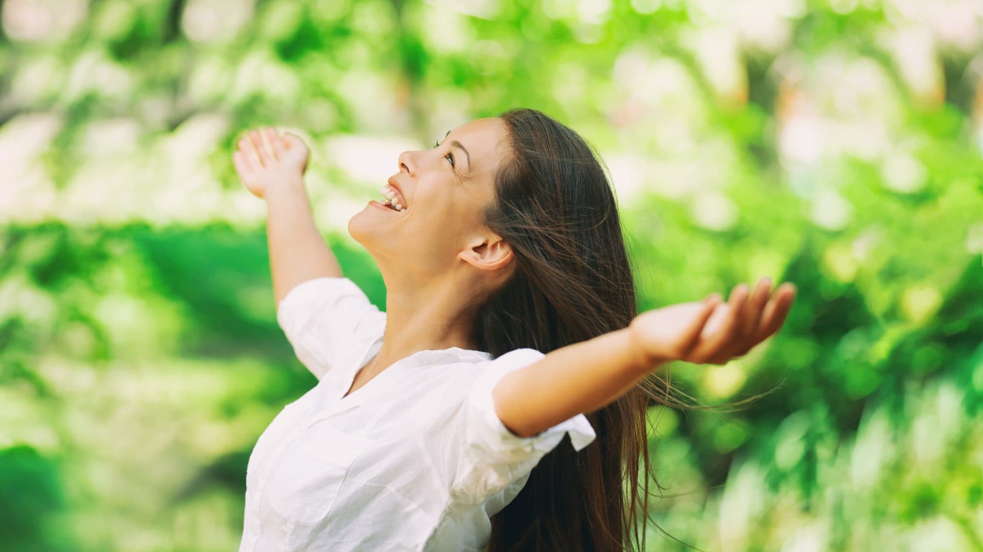 Understanding Spring Allergies: A Comprehensive Guide